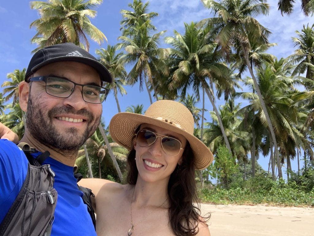 Coconut palms along the shore at Praia dos Carneiros, Pernambuco, Brazil