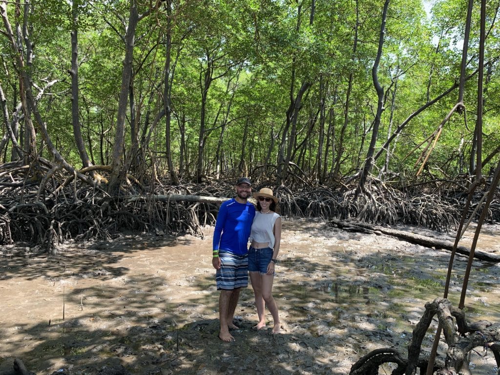 Mangrove on the boat tour at Praia dos Carneiros