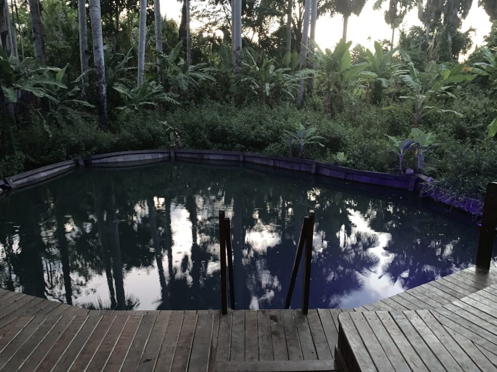The second fervedouro at Veredas