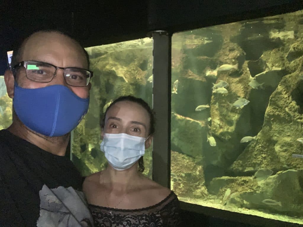View of the aquarium with fish