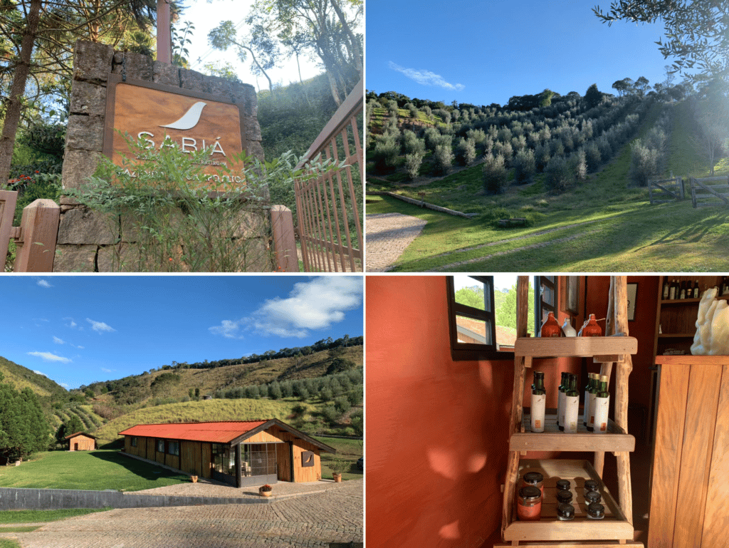 Azeite Sabiá da Mantiqueira, the best excursion in the area