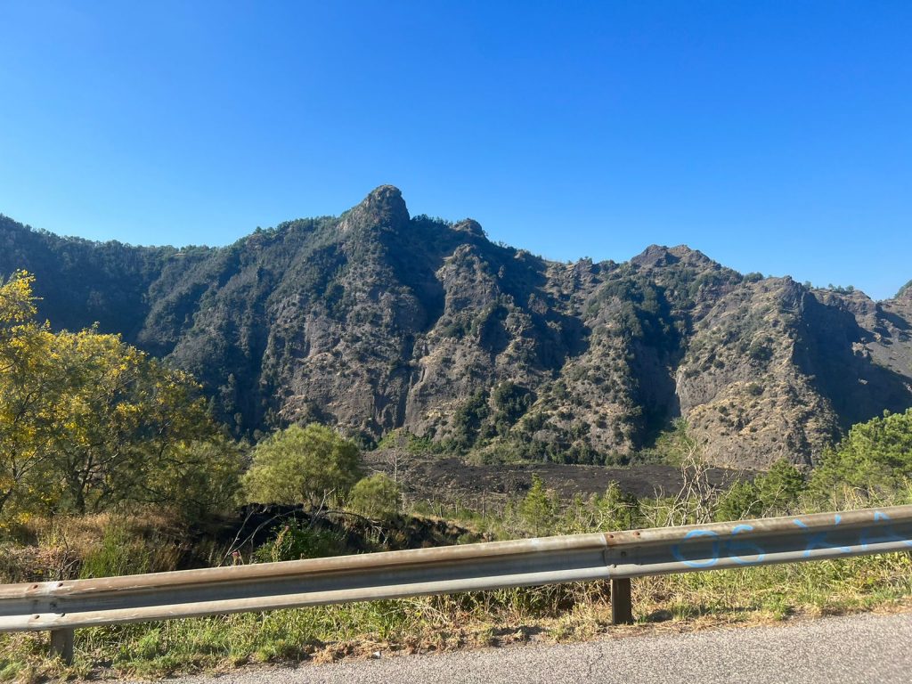 View along the roadside