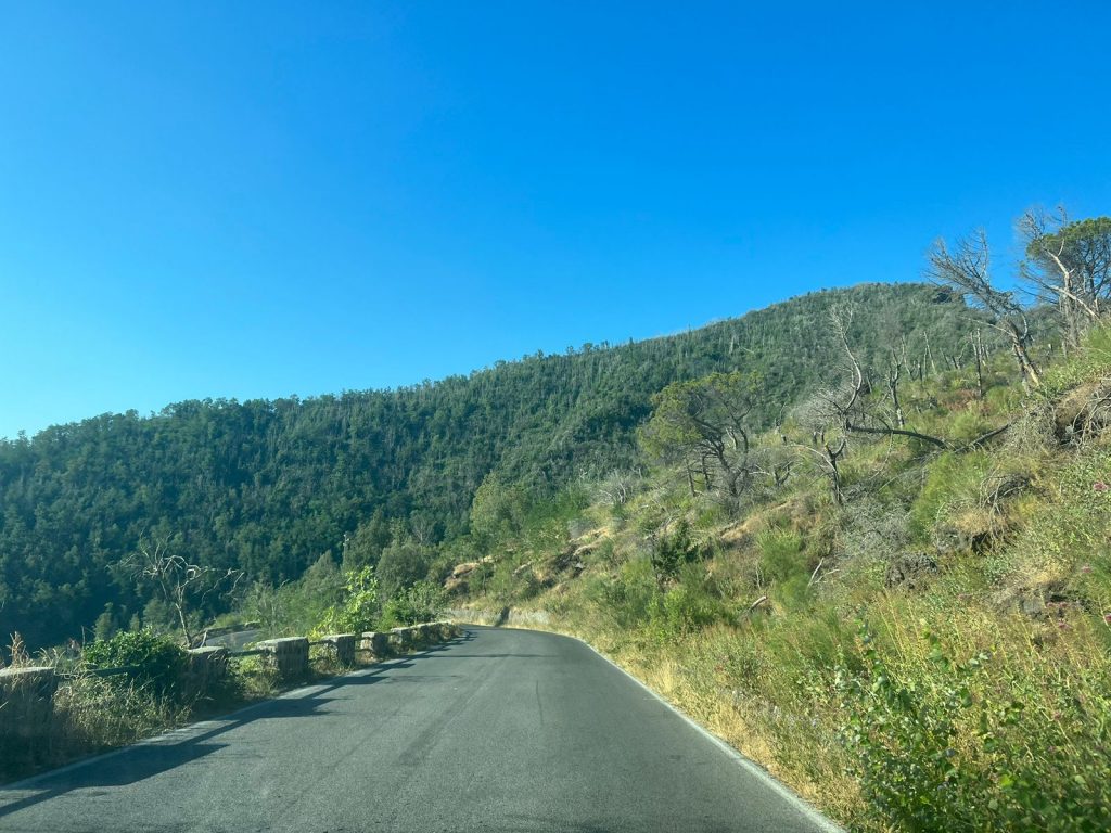 Paved road up to the entrance of Mount Vesuvius National Park
