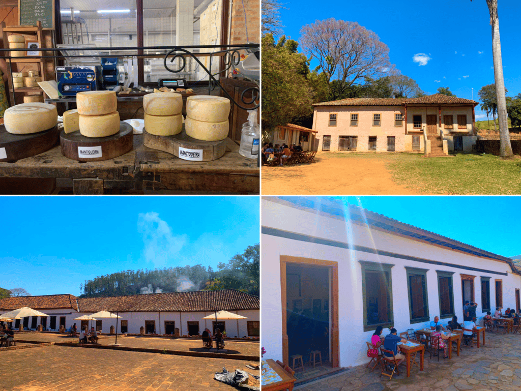 Fazenda Atalaia and its award-winning cheeses