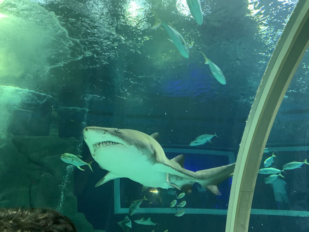 AquaRio