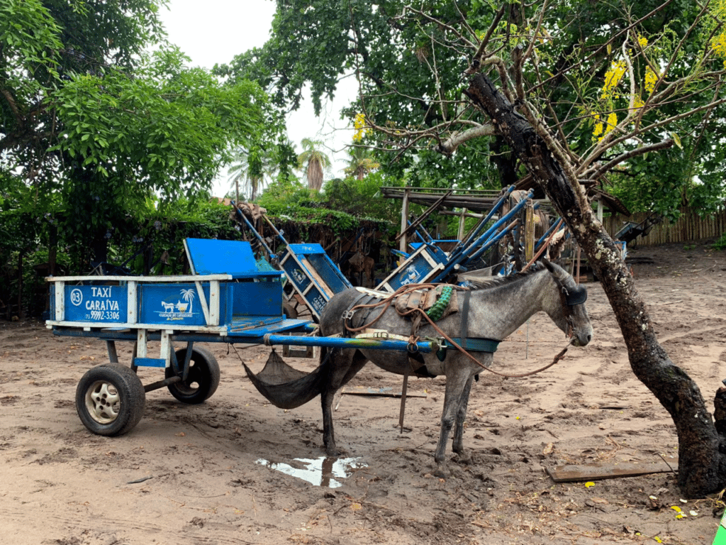 Taxi in Caraíva