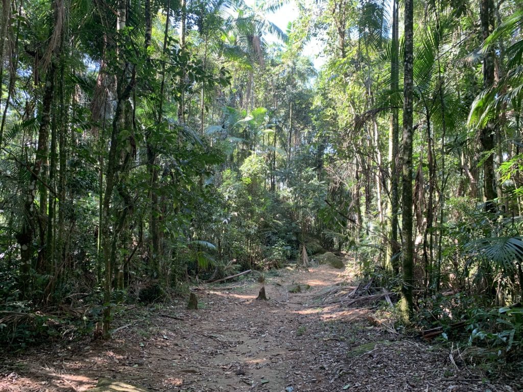 The campground trail, showing how beautiful and open it is