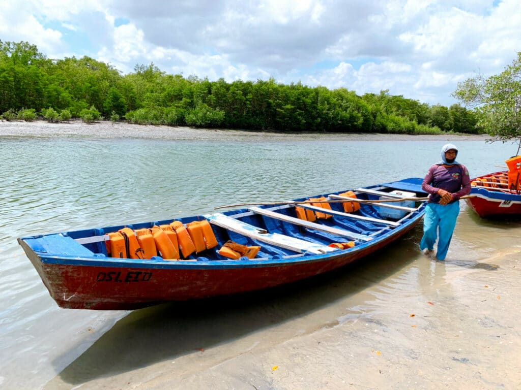 Boat tour to see seahorses in Jericoacoara