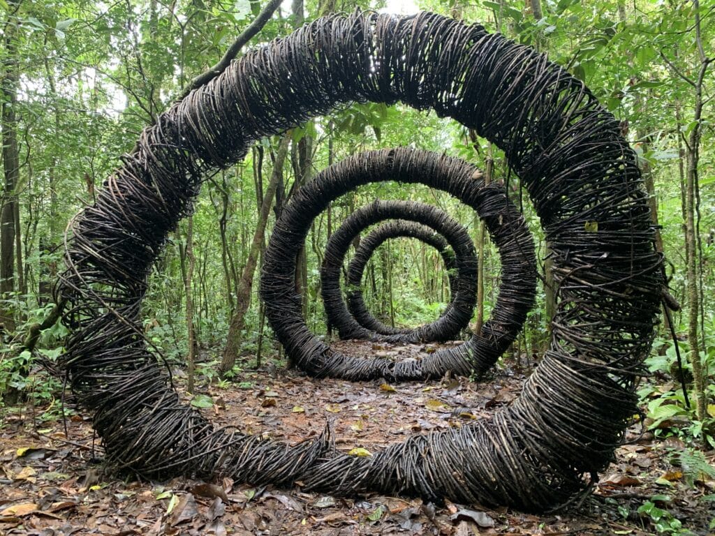 Trilha da Mata