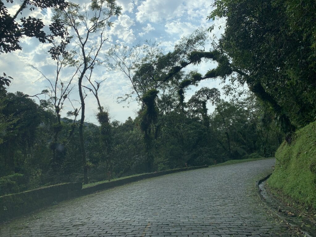 Winding curves along Estrada da Graciosa