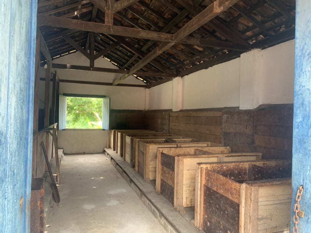 Bean drying area, one of the cacao farms of Ilhéus