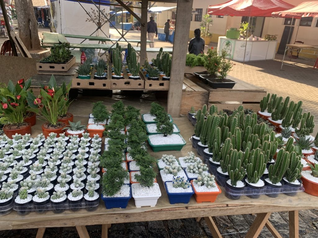 Feira Verde, Embu das Artes