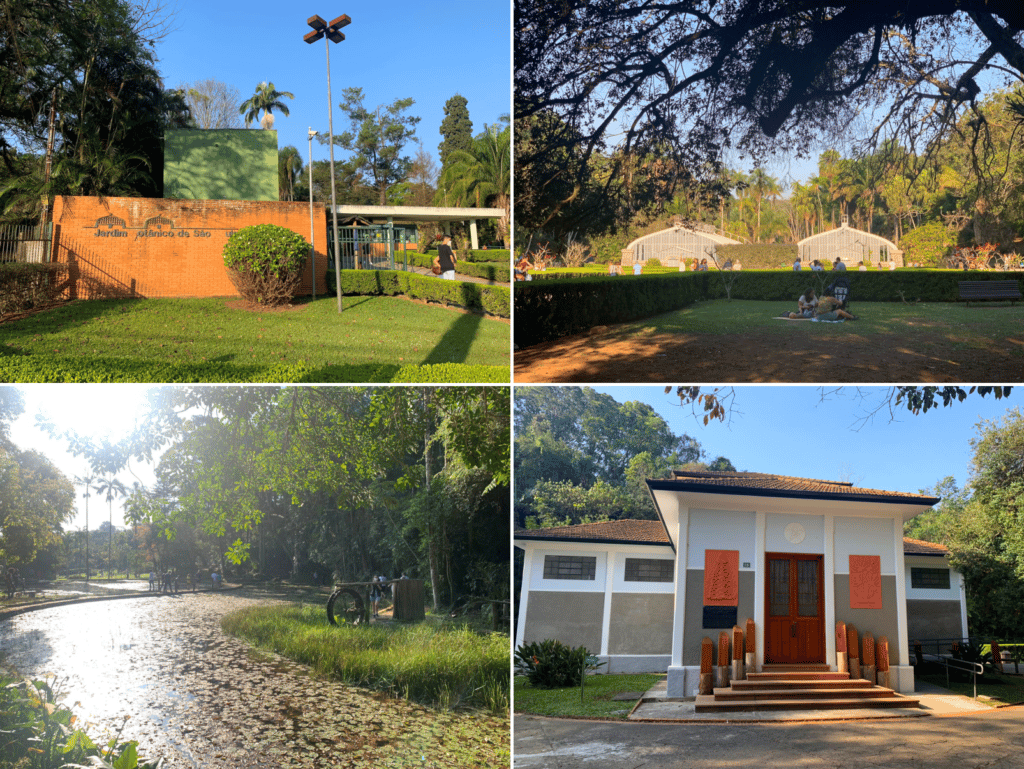 Photos of São Paulo’s Botanical Garden