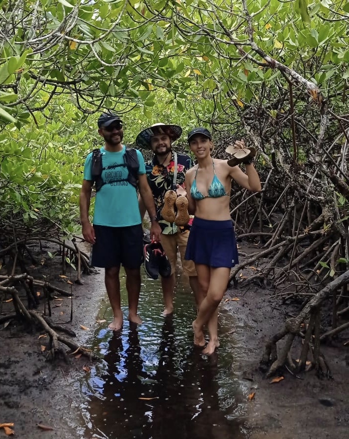 Mangrove along the trail to Praia de Jeribucaçu, Itacaré
