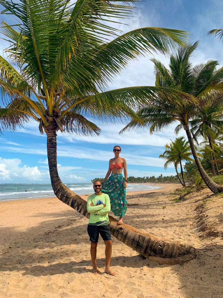 Praia de Taipu de Fora with its palm trees, Barra Grande, Península de Maraú