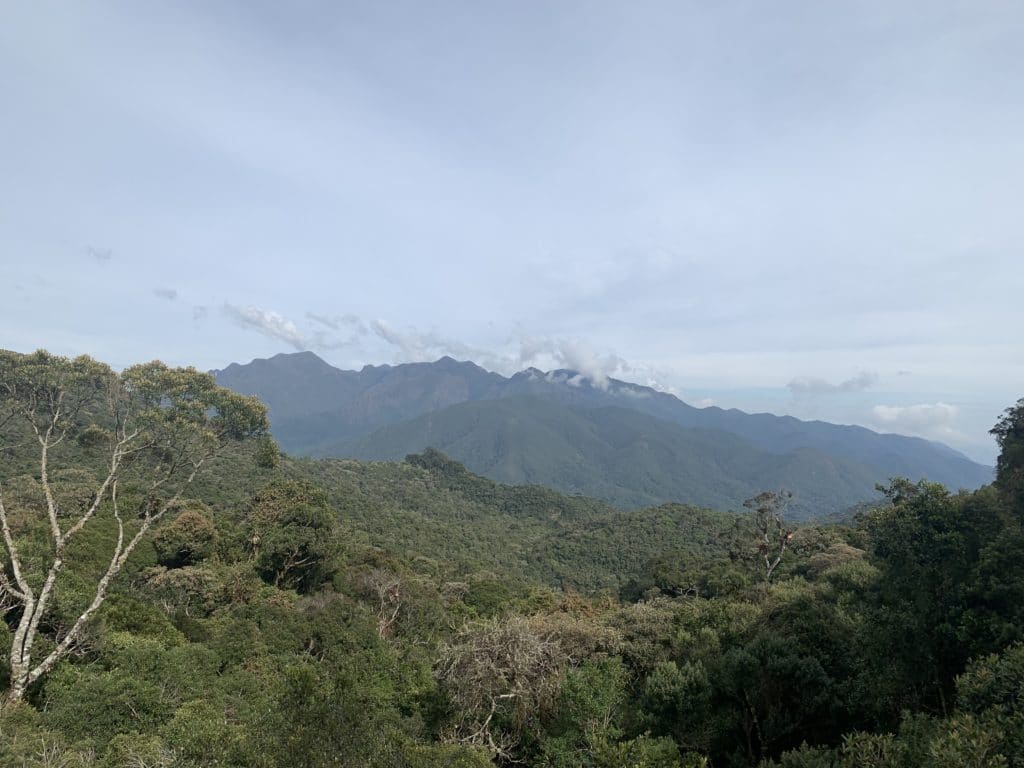 Serra Fina, from Morro do Couto