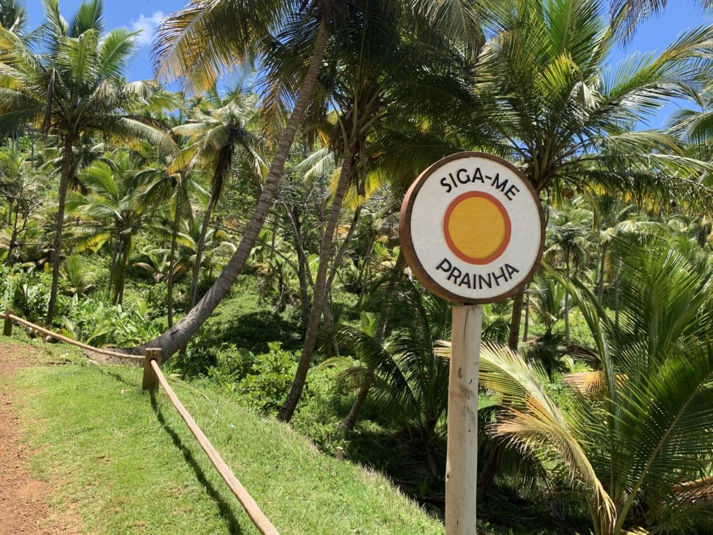 Start of the trail to Prainha