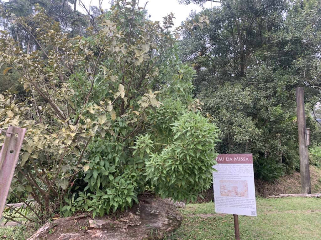 Pau da Missa, Paranapiacaba