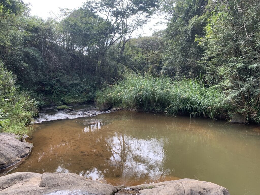 Poço do Manacá, Passa Quatro