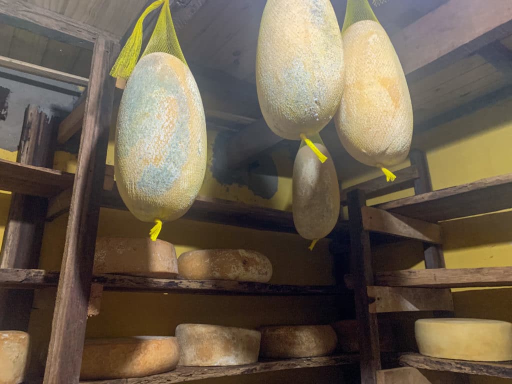 Cheese aging at Queijaria Santo Antônio, a tip on what to do in Passa Quatro, MG