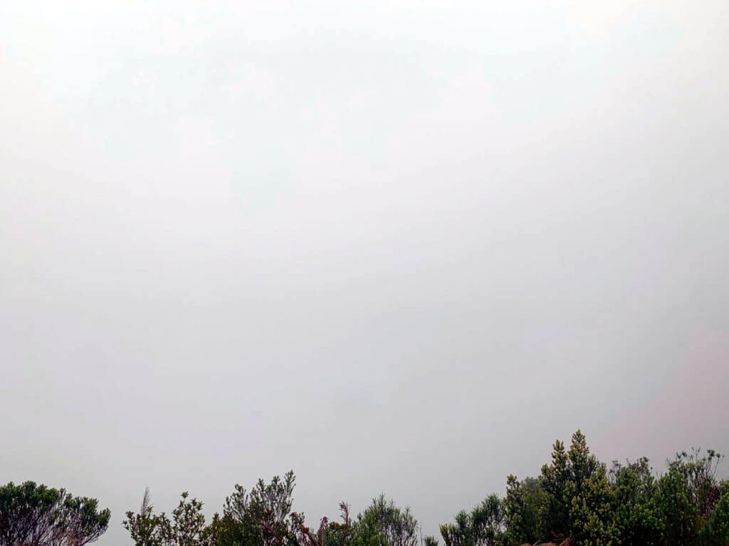 Fog at Cânion Monte Negro, São José dos Ausentes
