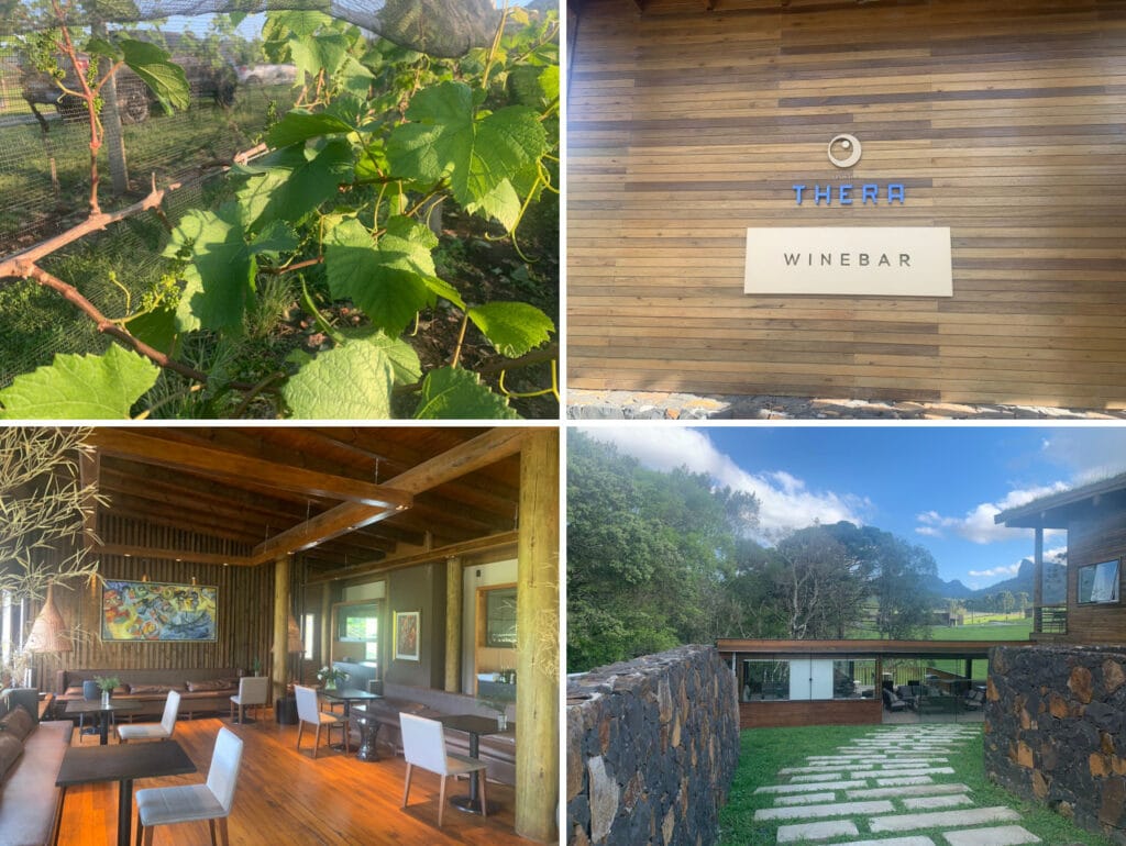 Vinícola Thera, a fantastic spot in Urubici