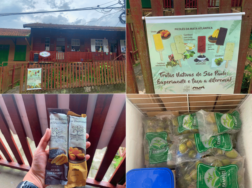 Ice cream and Atlantic Forest fruit flavors