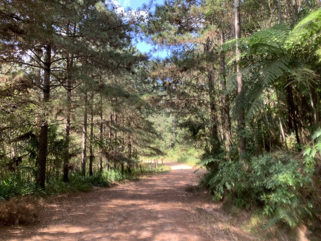 The wide dirt road along the Trilha do Sal