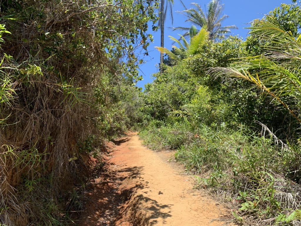 Trail between Praia de Itacarezinho and Praia de Camboinha, Itacaré